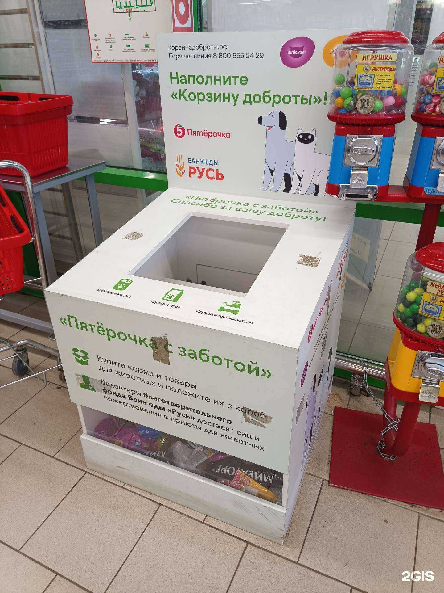 Отзывы на компанию Русь в Копейске c фото