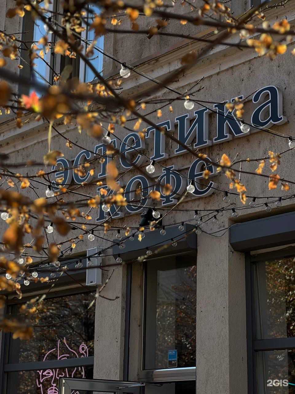 Отзывы на компанию Дедди Додди в г. Краснодар c фото