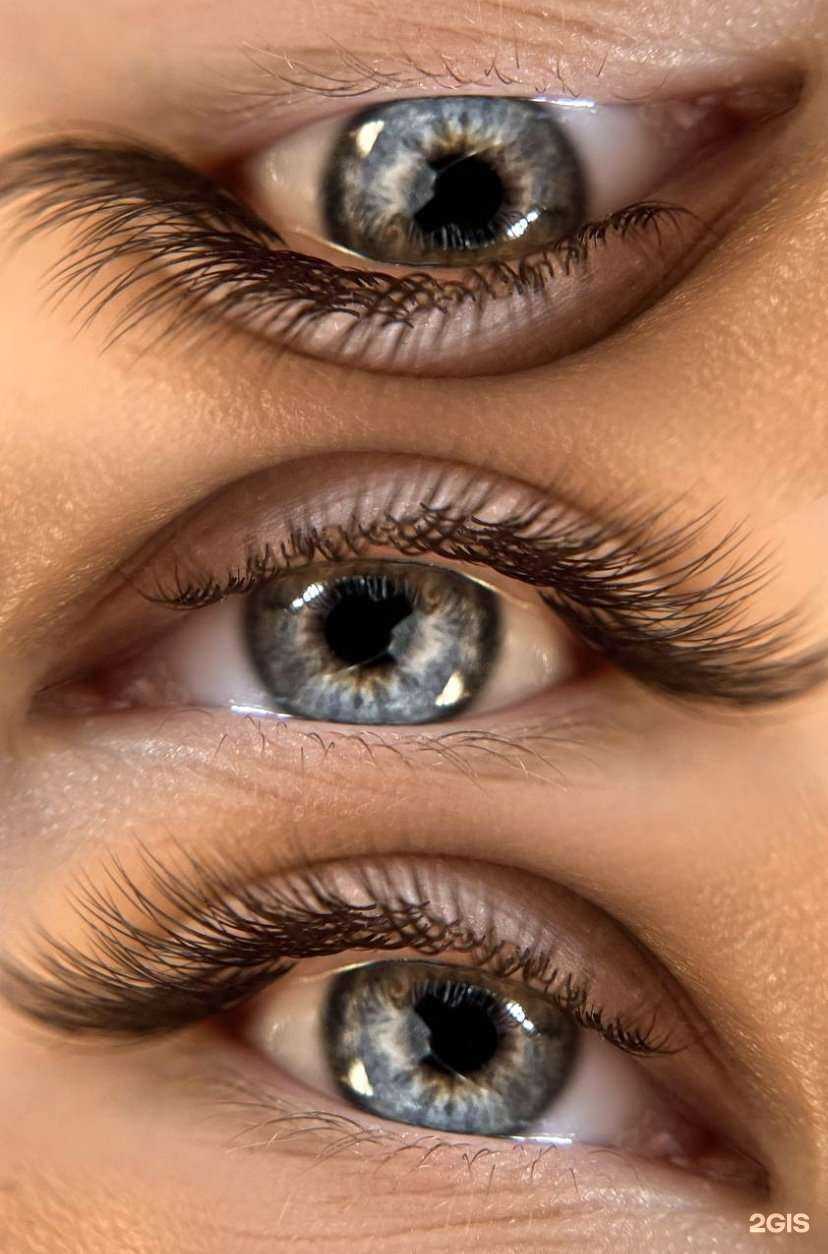 Отзывы на компанию Lash в г. Томск c фото