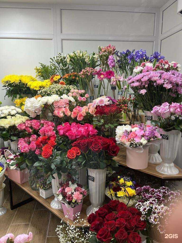 Отзывы на компанию Азалия в Барнауле c фото