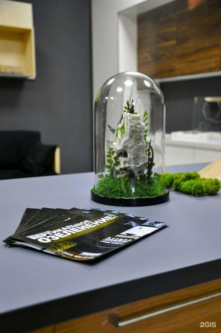 Отзывы на компанию Ласточка/MR в Пензе c фото