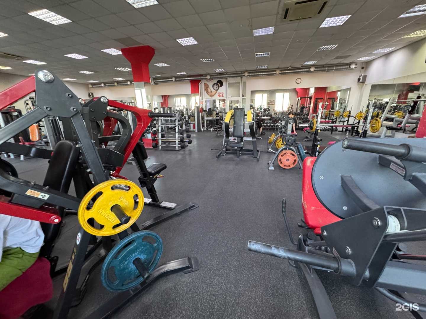 Отзывы на компанию Mustang в Чебоксарах c фото