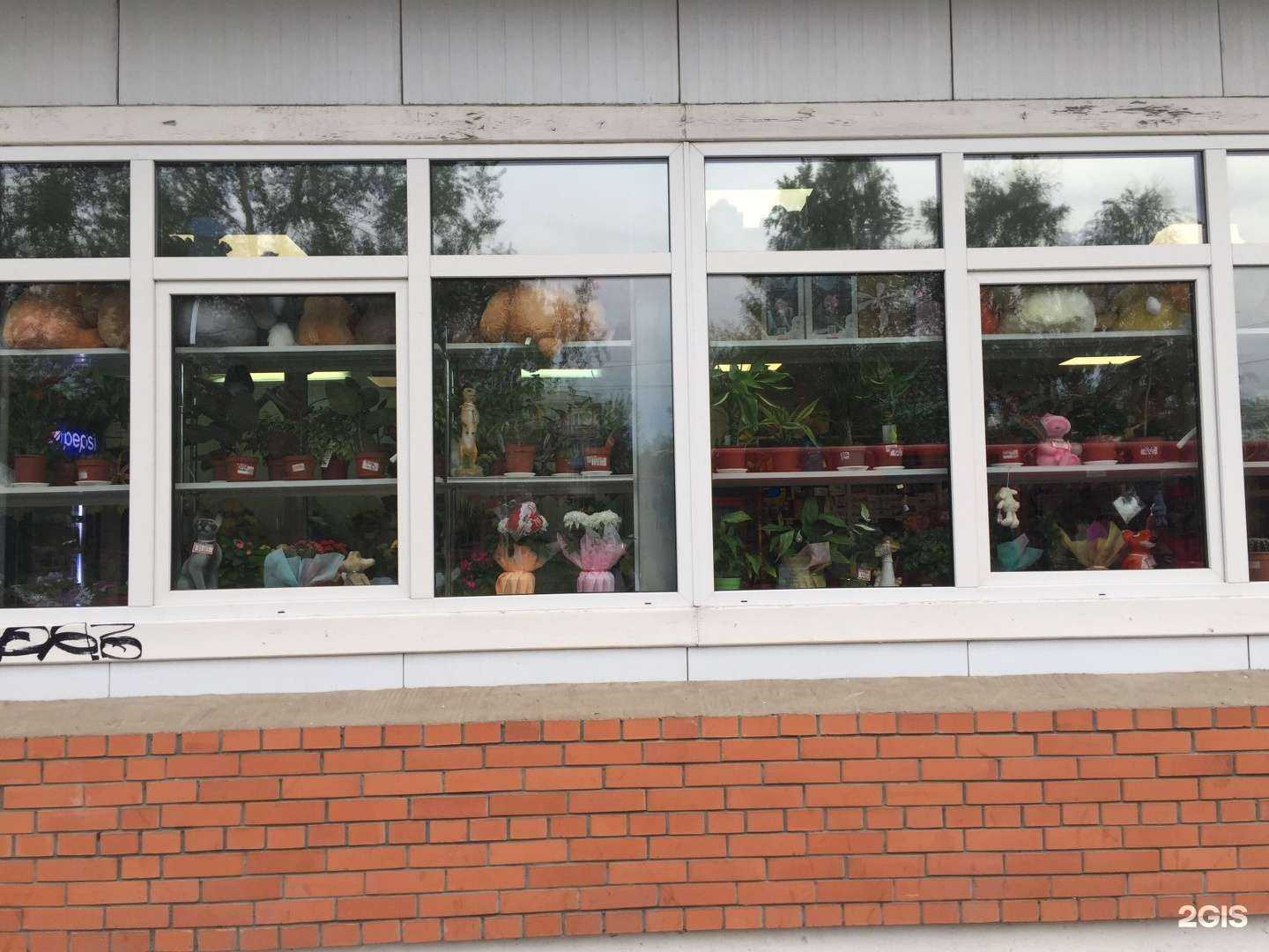 Отзывы на компанию Магазин цветов и подарков в Северодвинске c фото