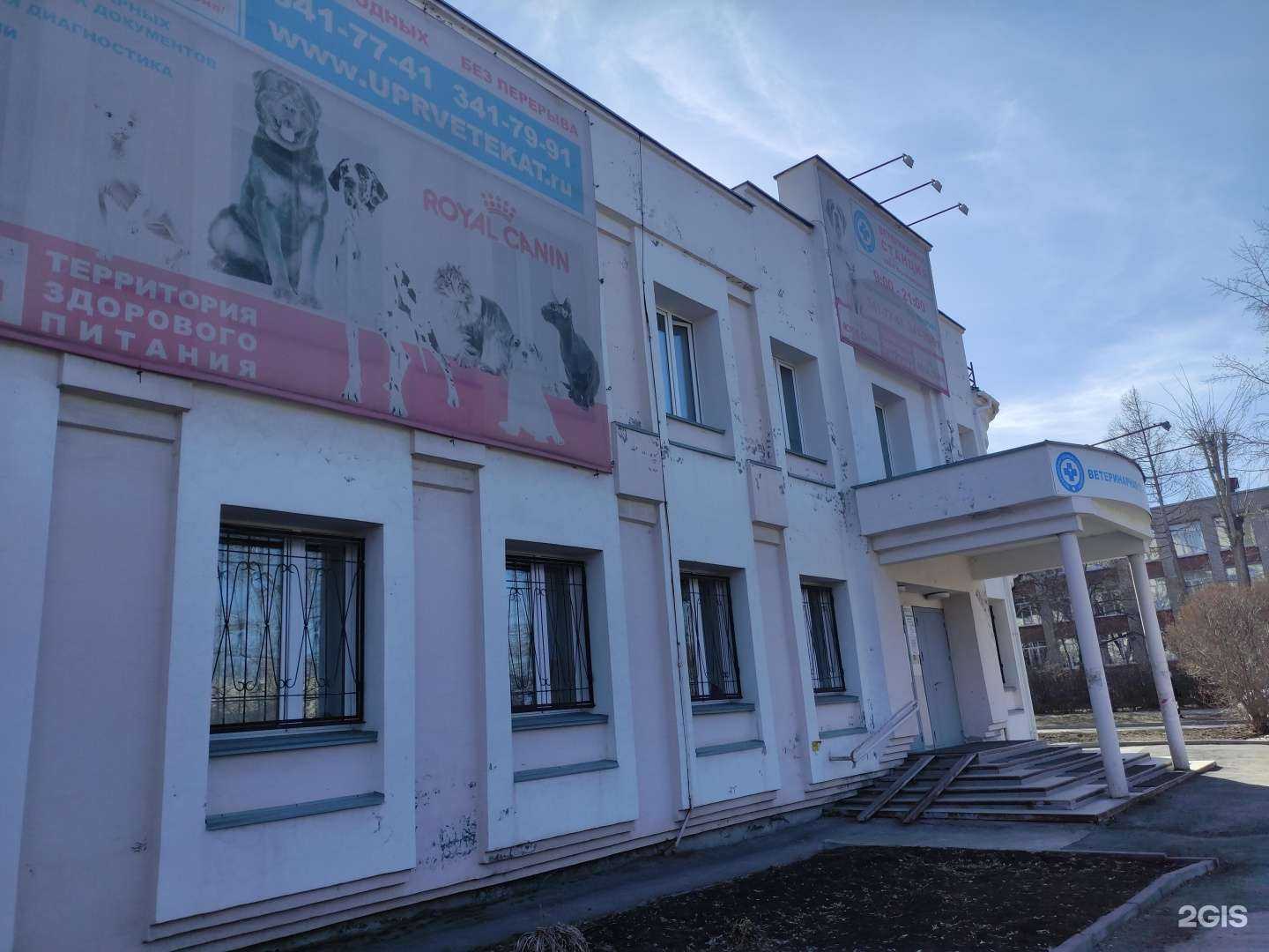 Отзывы на компанию Управление ветеринарии Екатеринбурга в Екатеринбурге c фото - фотография 2 из 2