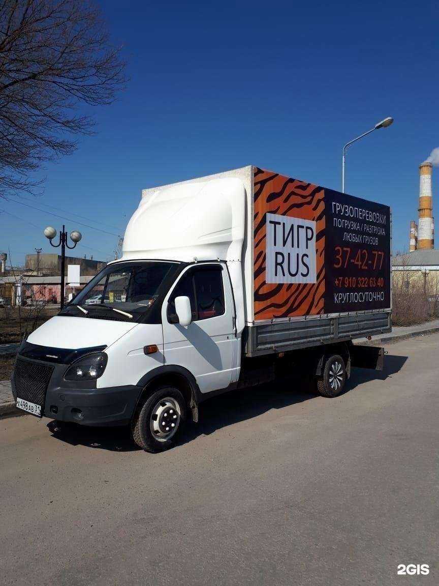 Отзывы на компанию Тигрус в Белгороде c фото