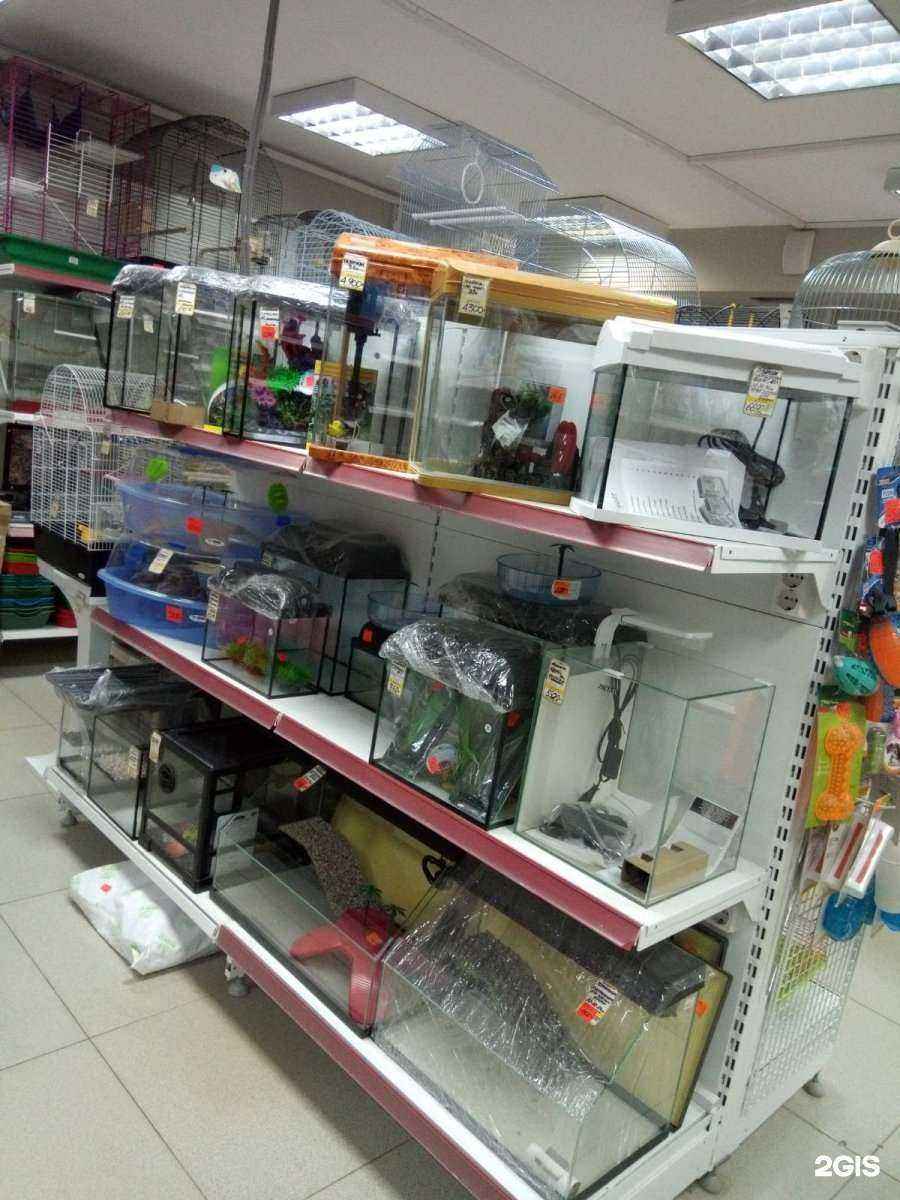 Отзывы на компанию Всё для животных в Иванове c фото