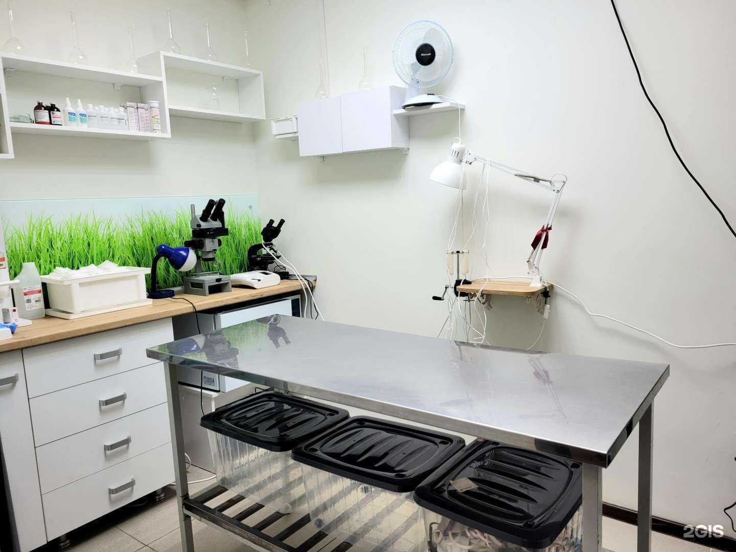 Отзывы на компанию Айболит в г. Астрахань c фото