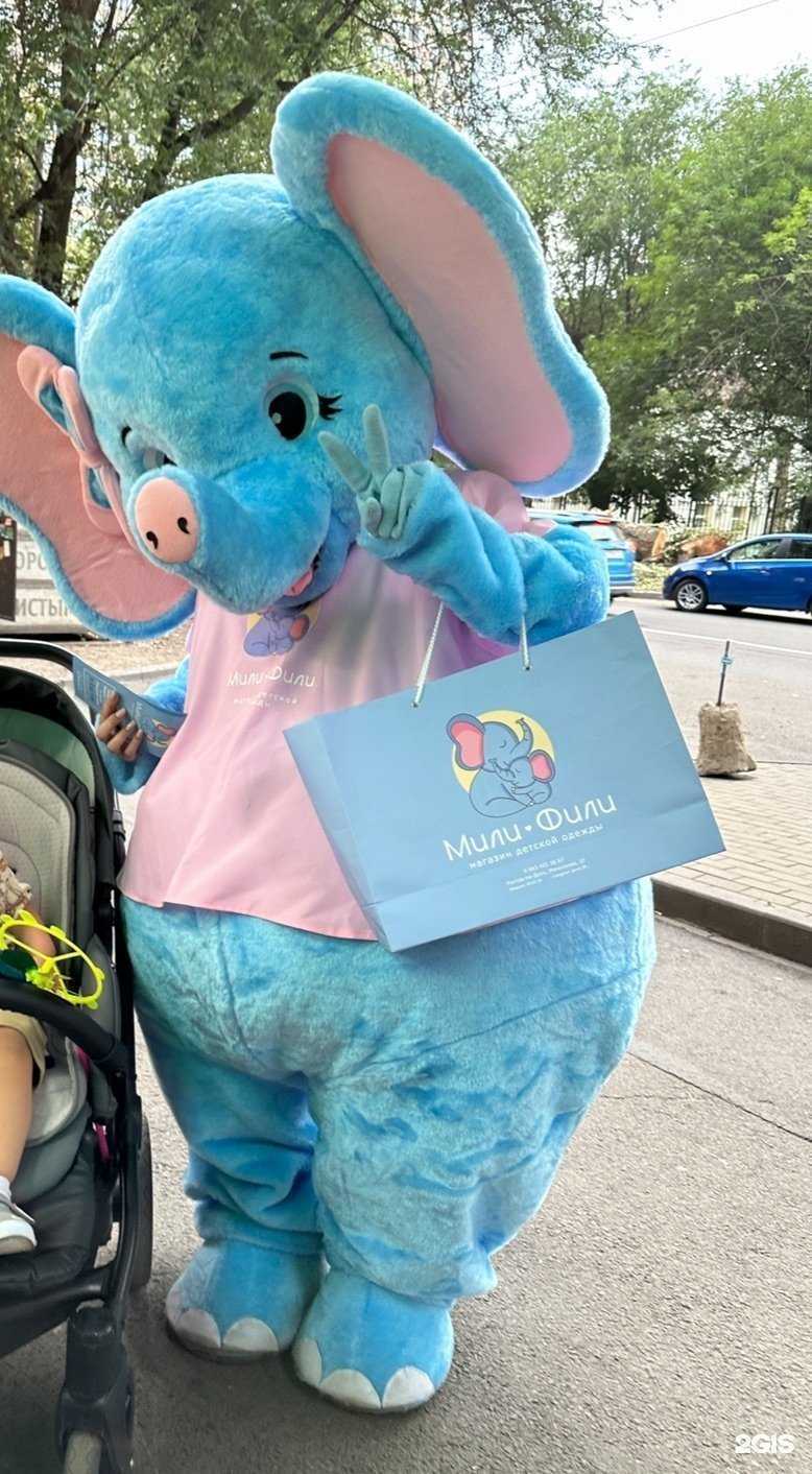 Отзывы на компанию Мили Фили в Ростове-на-Дону c фото