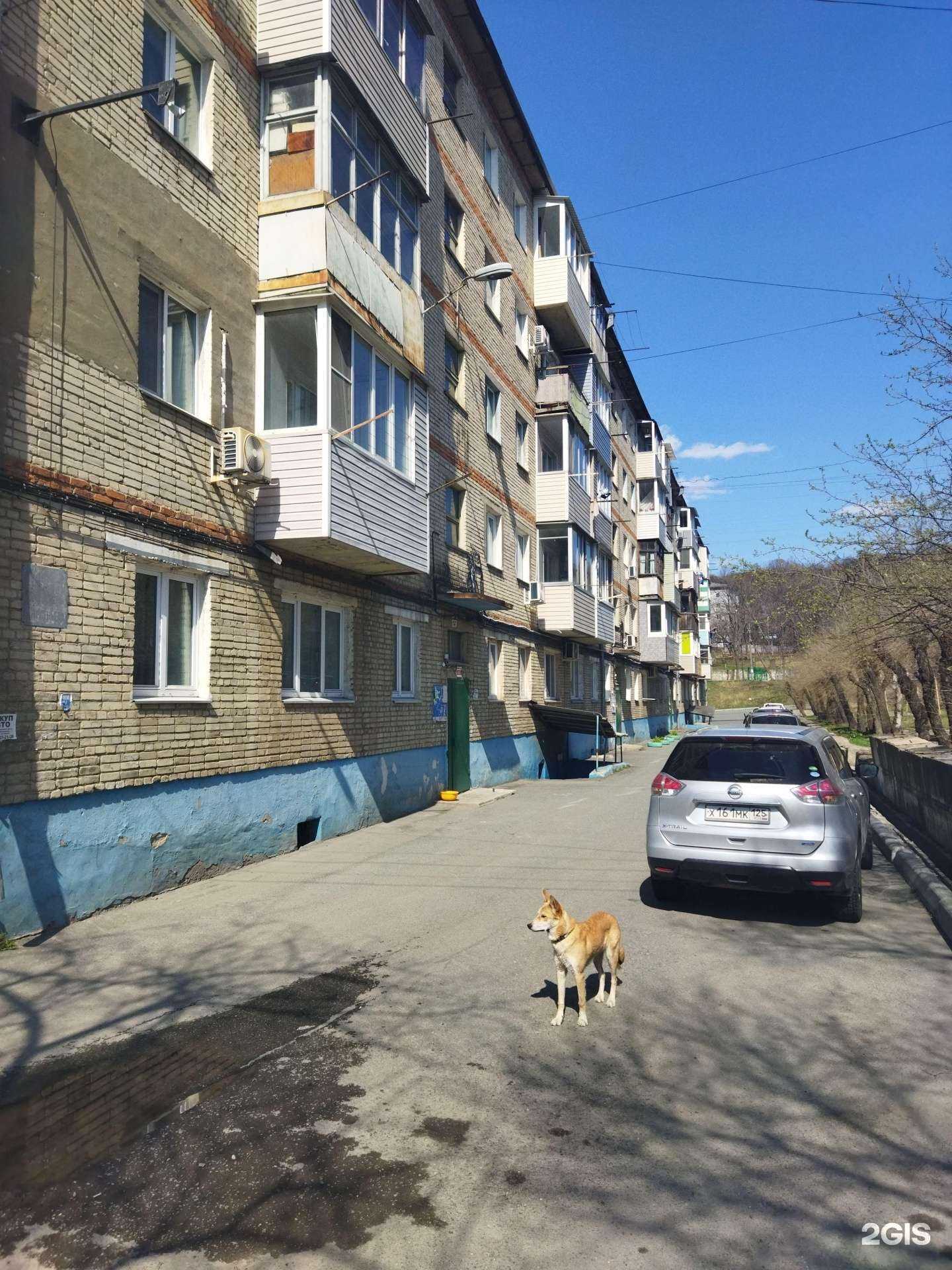 Отзывы на компанию Фарм-Находка в Находке c фото - фотография 2 из 2