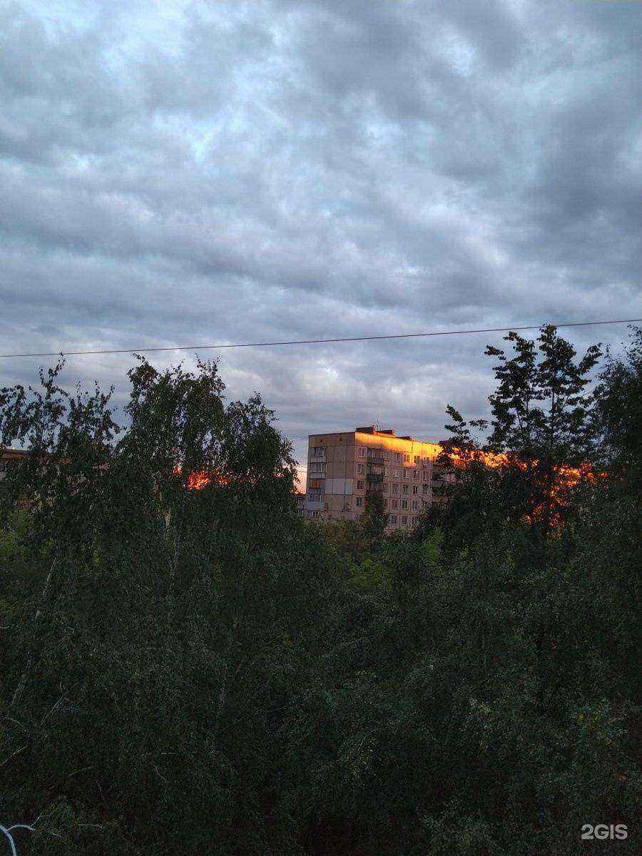 Отзывы на компанию Апис в Челябинске c фото - фотография 2 из 2