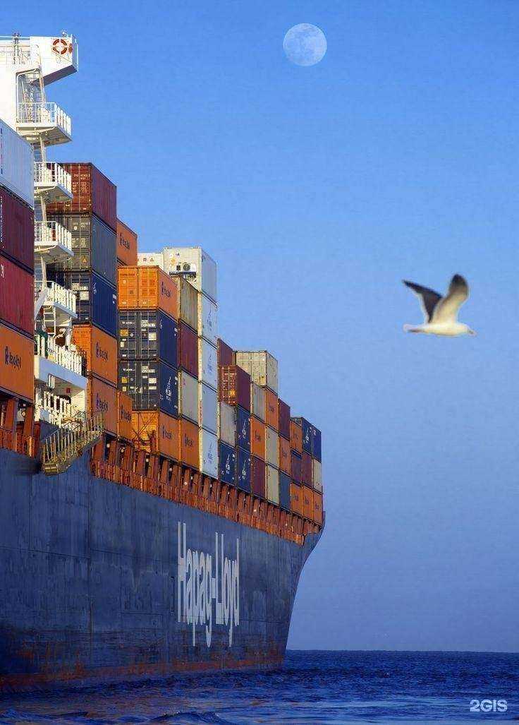 Отзывы на компанию Летица в г. Новосибирск c фото