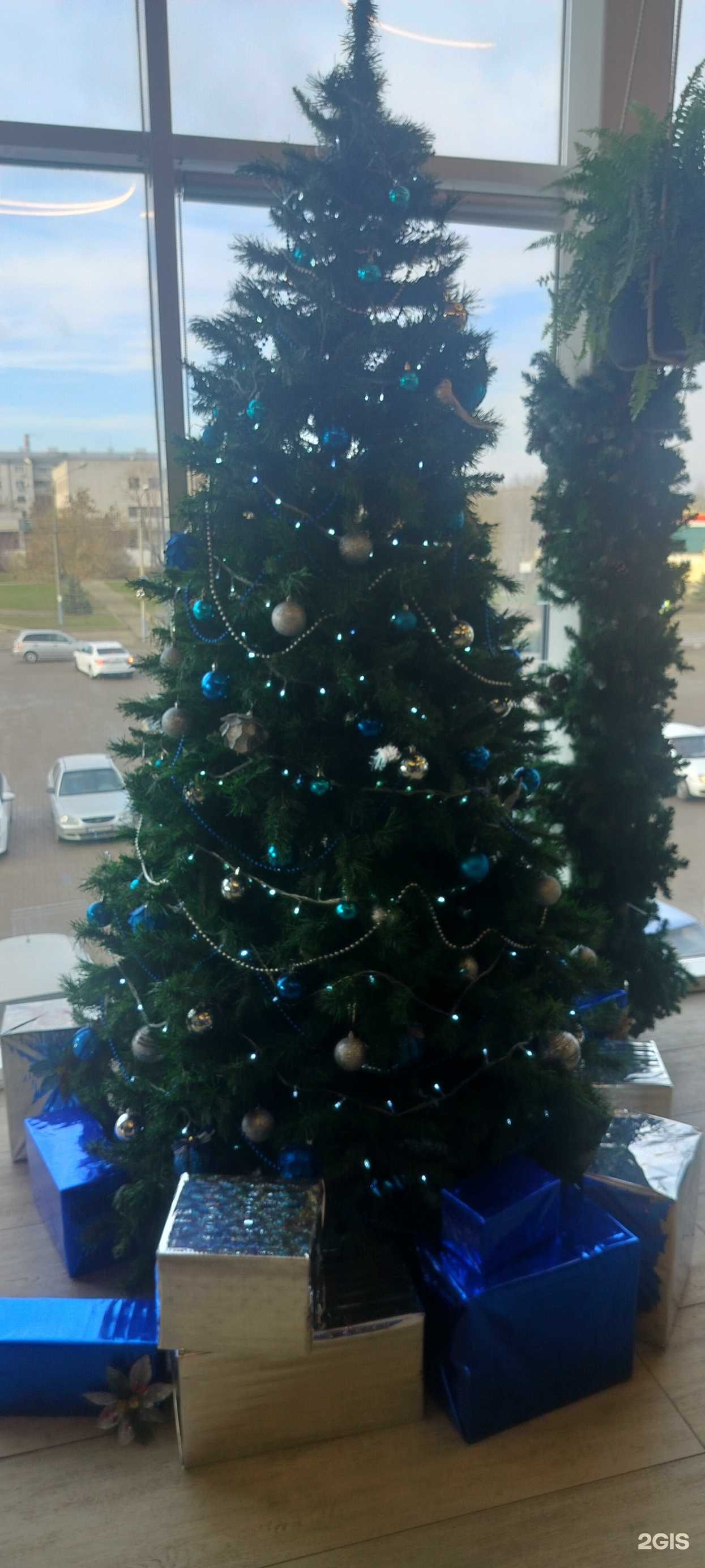 Отзывы на компанию Пилот в г. Морозовск c фото