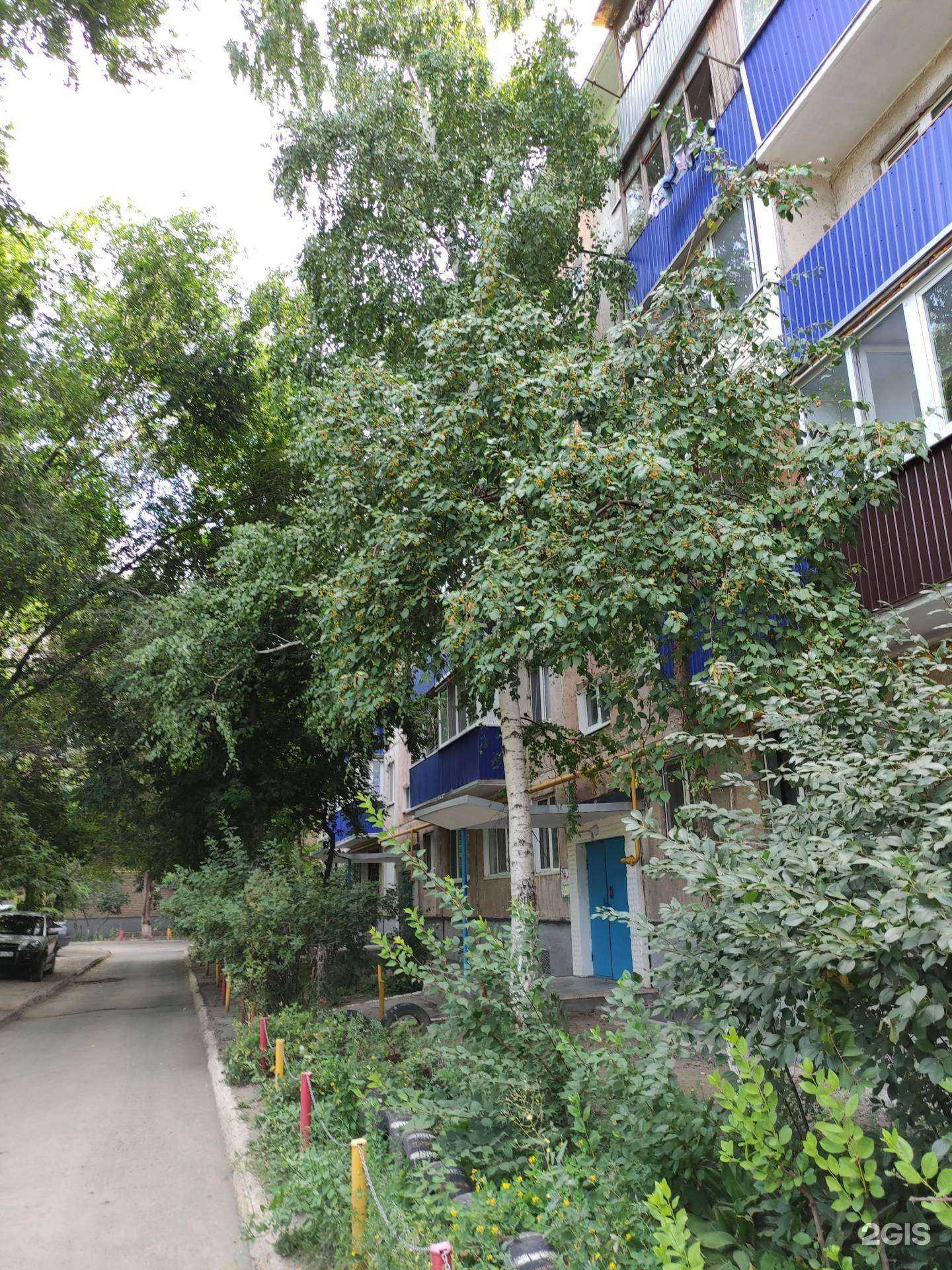 Отзывы на компанию Кот учёный в Орске c фото - фотография 2 из 2