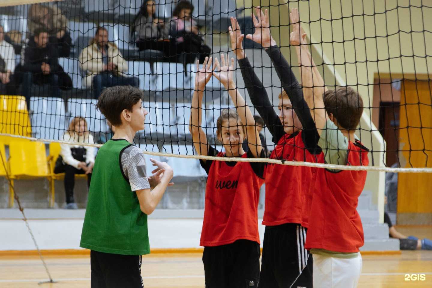 Отзывы на компанию Libero в Ставрополе c фото