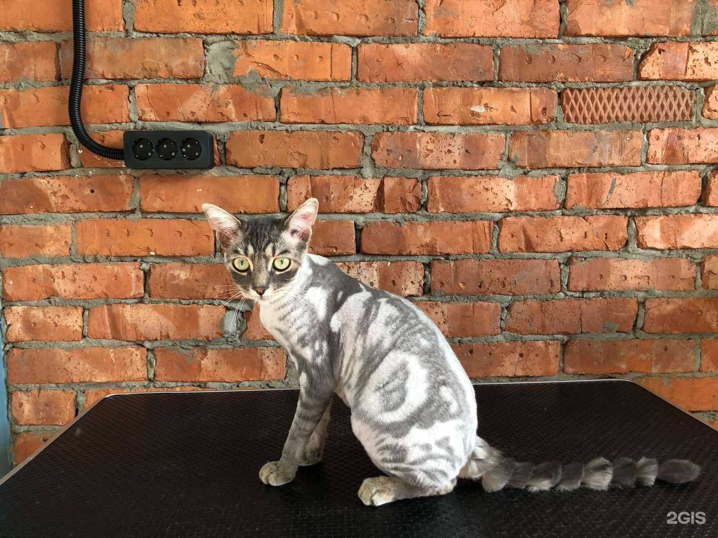 Отзывы на компанию Rich groom в г. Краснодар c фото