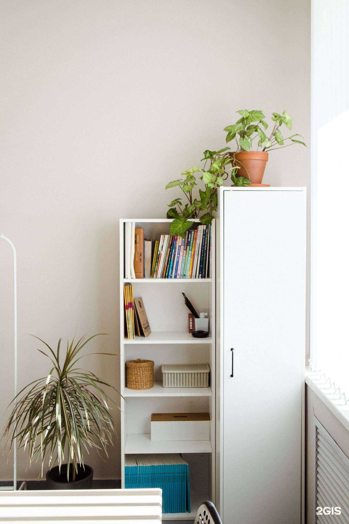 Отзывы на компанию China Vibes в Тюмени c фото