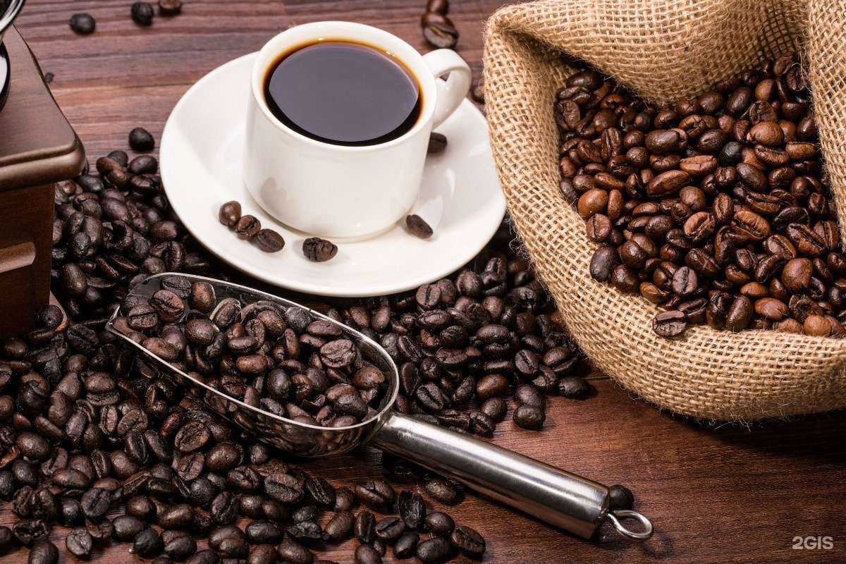 Отзывы на компанию Красная сова в г. Нижний Новгород c фото