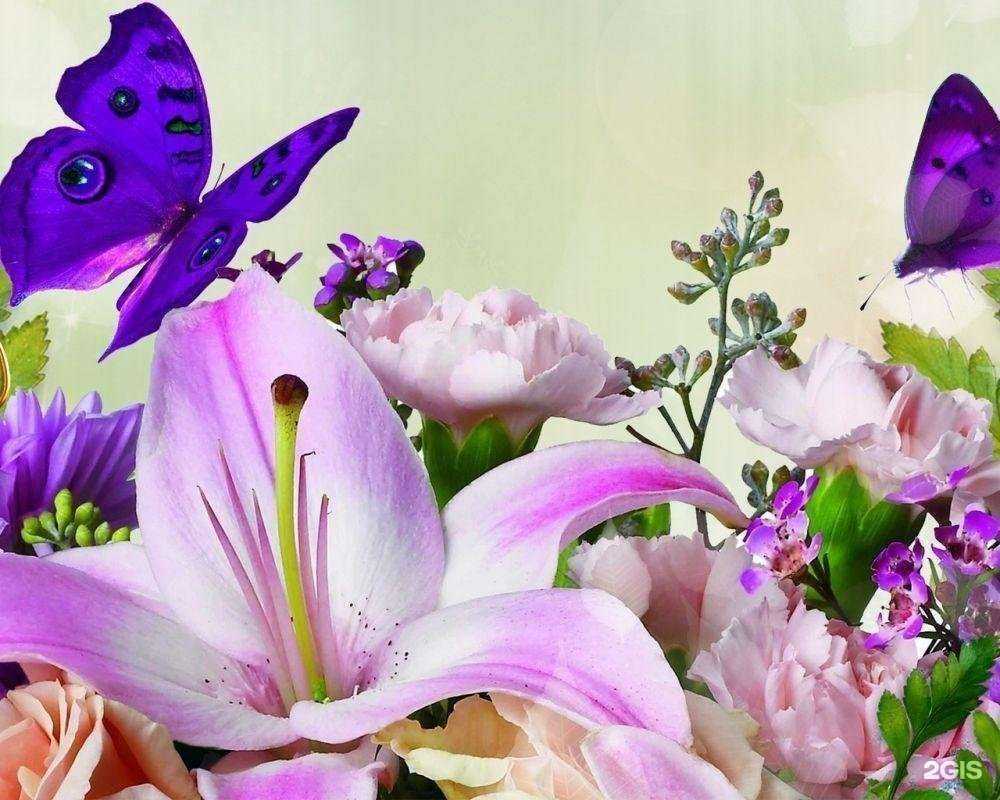 Отзывы на компанию МонетаГрад в Ставрополе c фото