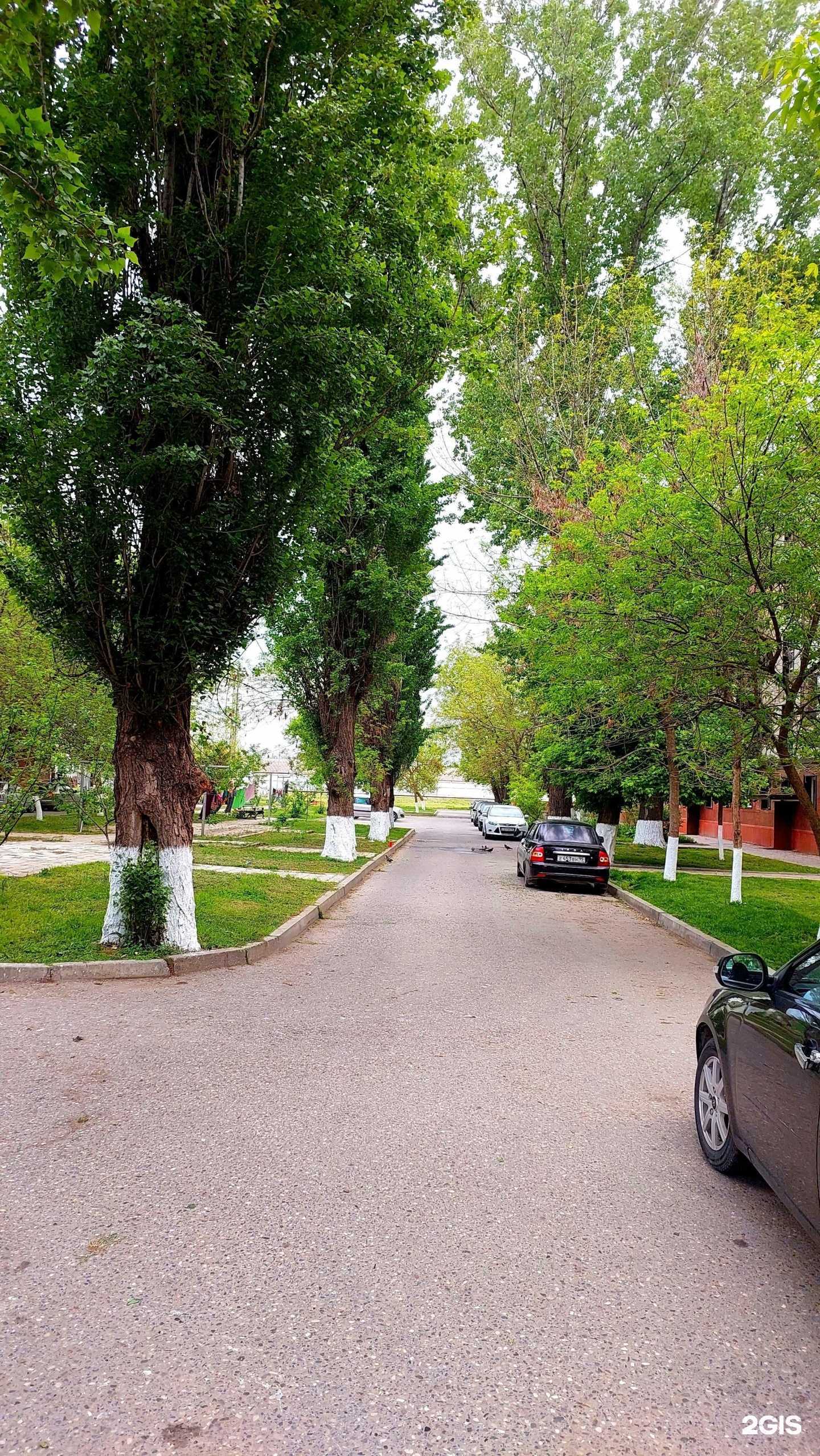 Отзывы на компанию Магазин полуфабрикатов в Гудермесе c фото - фотография 2 из 2