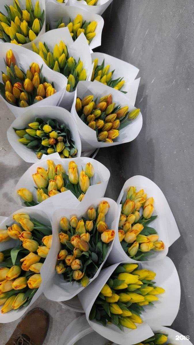 Отзывы на компанию Abracadabraflowers в г. Омск c фото