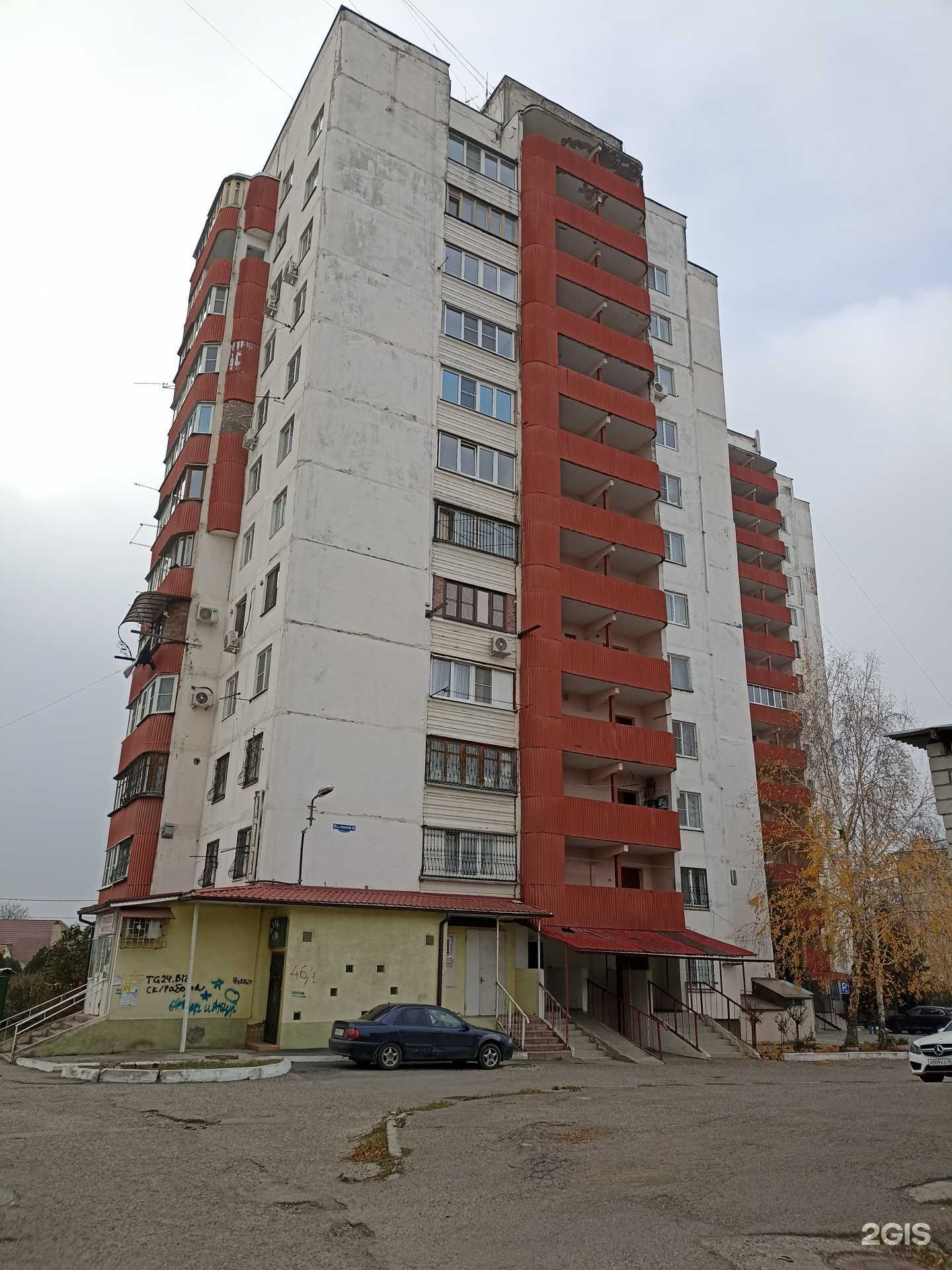 Отзывы на компанию КотШарик в Пятигорске c фото