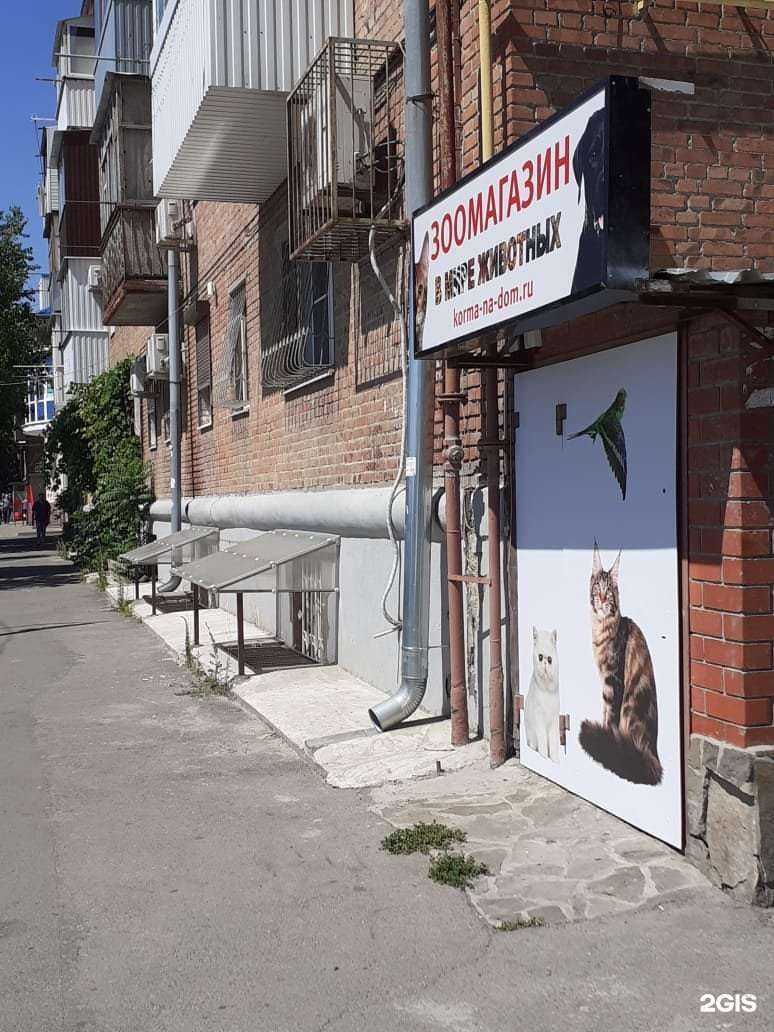 Отзывы на компанию В мире животных в Ростове-на-Дону c фото