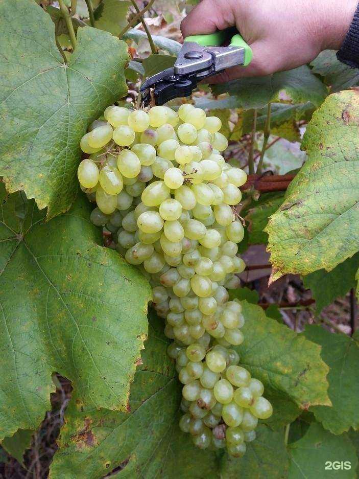 Отзывы на компанию Инструм-Агро, розничный магазин в г. Павлово c фото