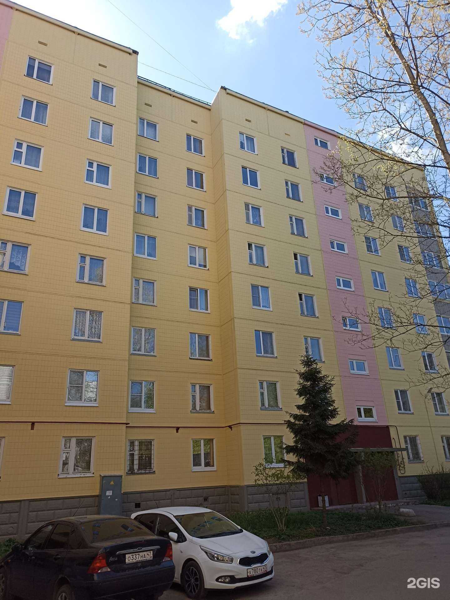 Отзывы на компанию Лотос в Гатчине c фото - фотография 2 из 2