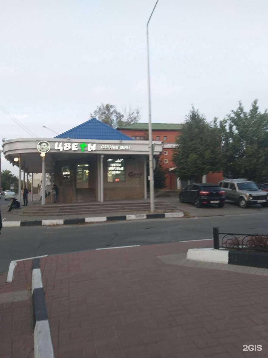 Отзывы на компанию Пальма в Белгороде c фото - фотография 2 из 2