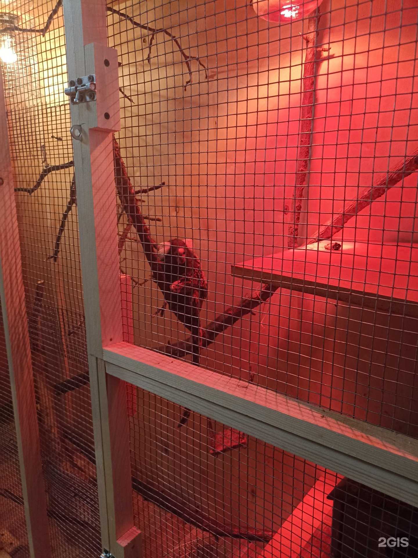 Отзывы на компанию Террариум в г. Кисловодск c фото