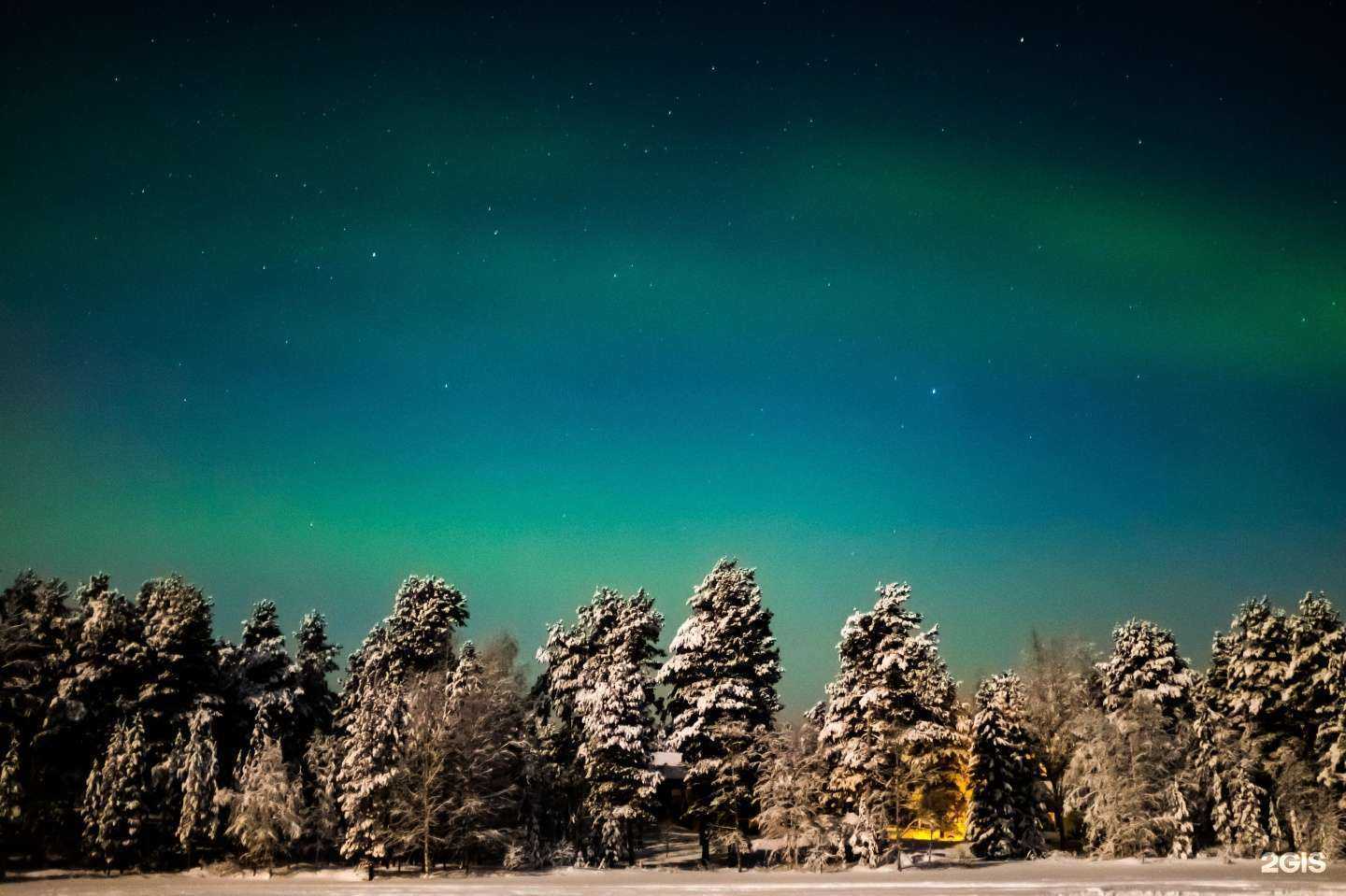 Отзывы на компанию Жар-птица в Щёлкове c фото