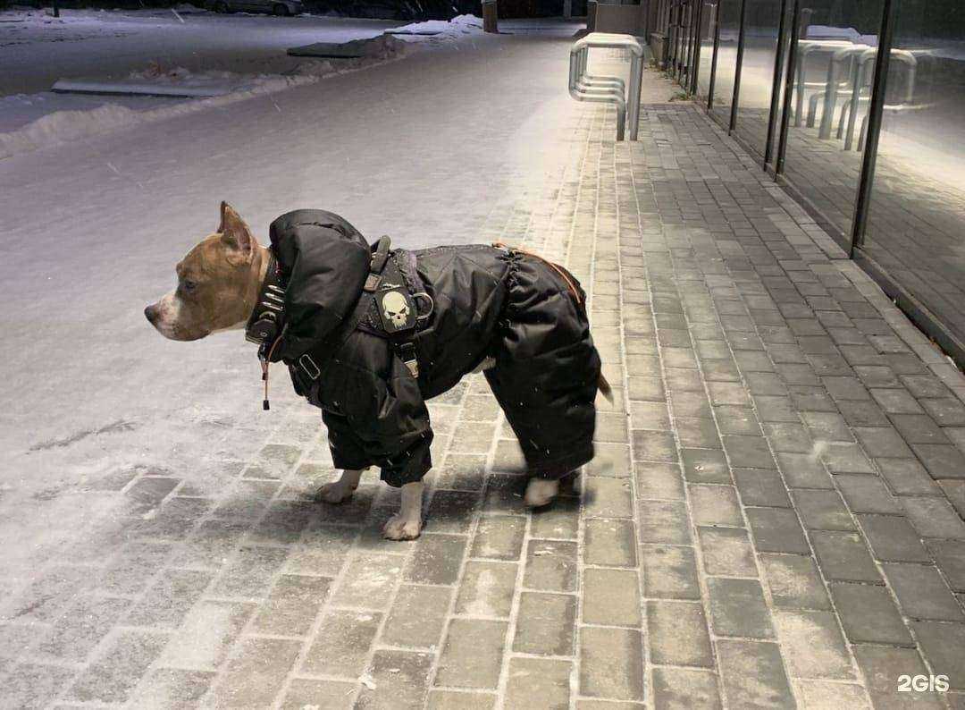 Отзывы на компанию Boksi go в Новокузнецке c фото