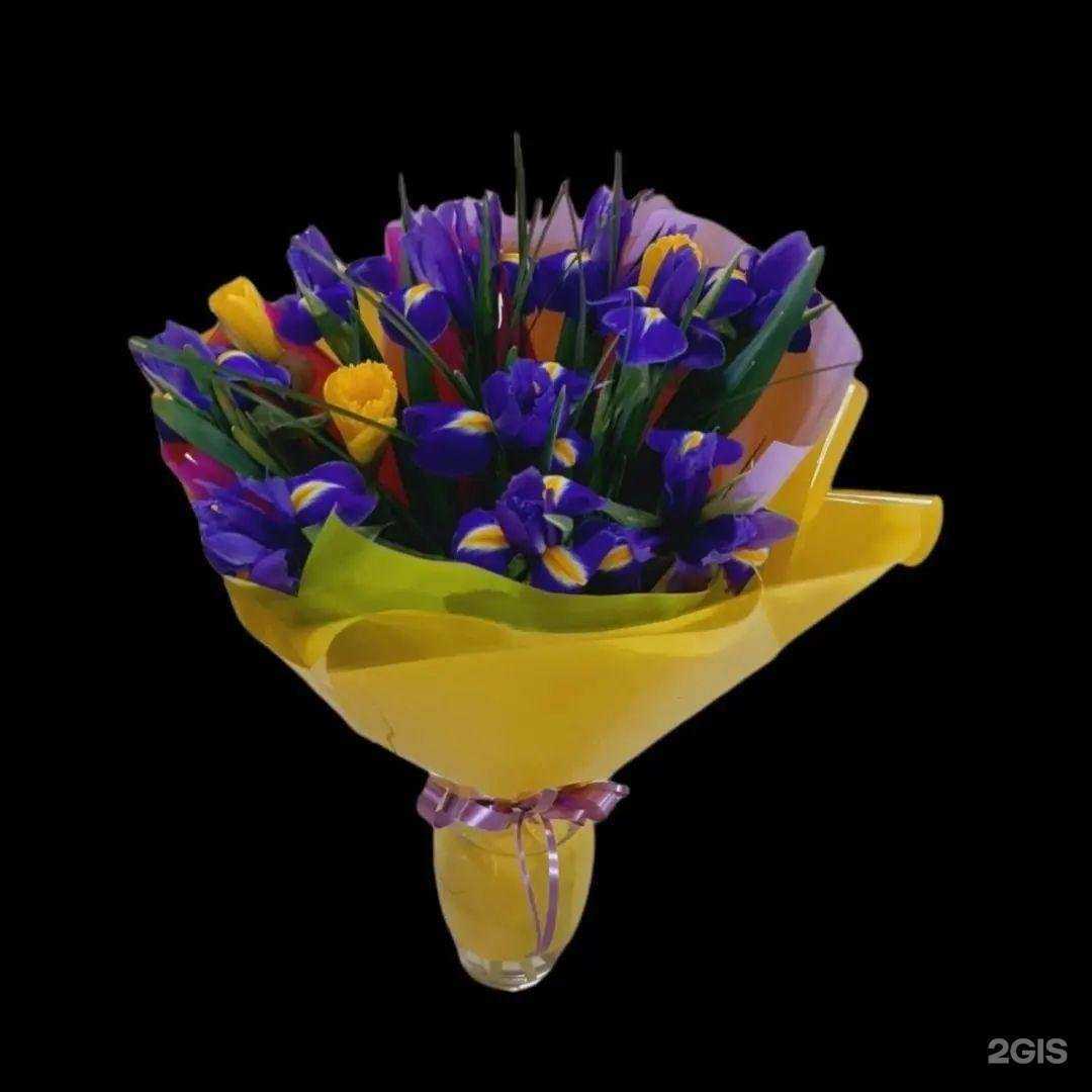 Отзывы на компанию Fan-fan в Архангельске c фото