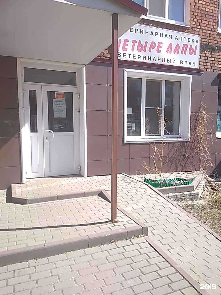 Отзывы на компанию Добрые лапы в Котовске c фото