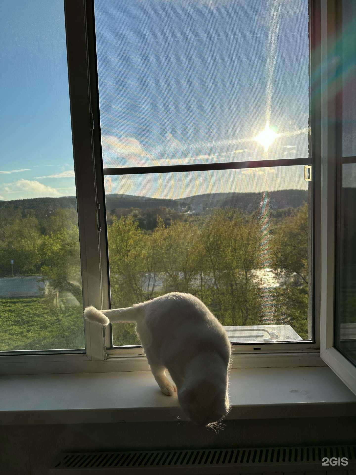 Отзывы на компанию Пластокно в г. Миасс c фото