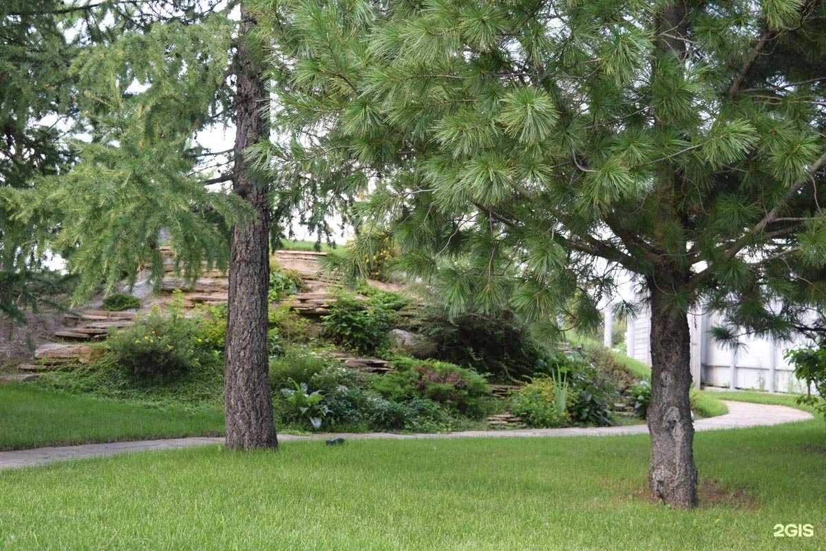 Отзывы на компанию Верба в Новосибирске c фото