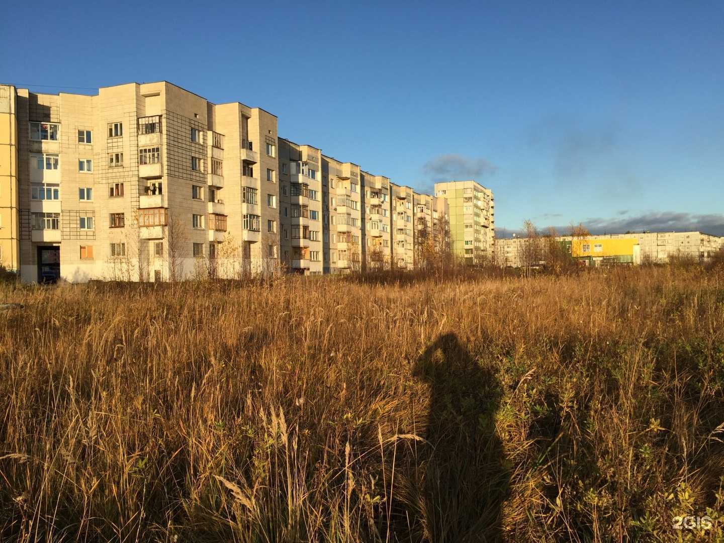 Отзывы на компанию Natalia nail в Северодвинске c фото