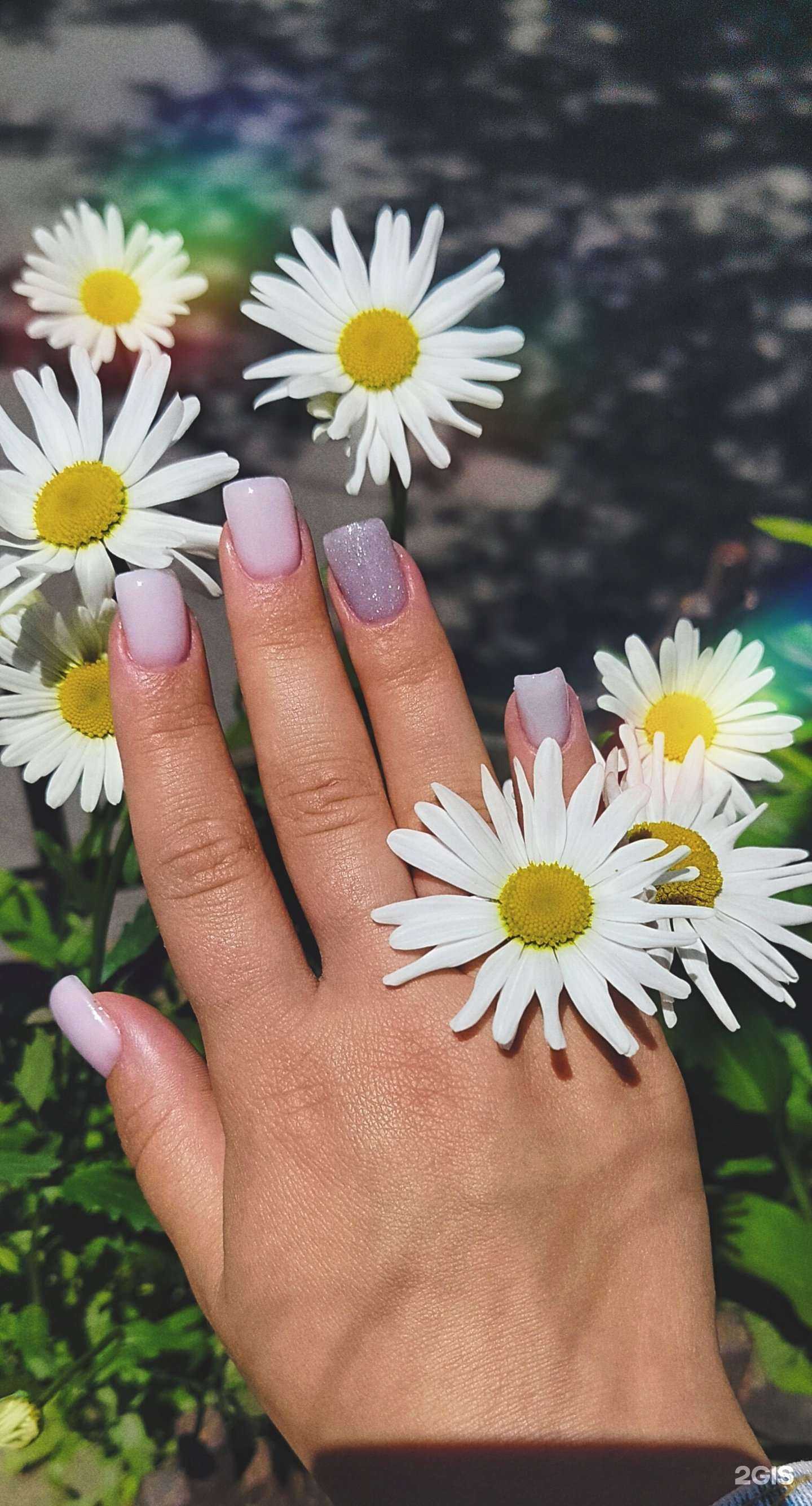 Отзывы на компанию pollysha.nails в Владивостоке c фото