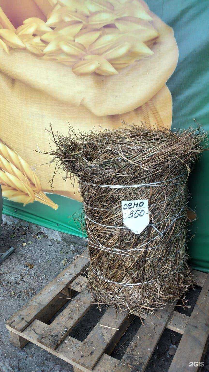 Отзывы на компанию Магазин кормов на Яминской в Бийске c фото