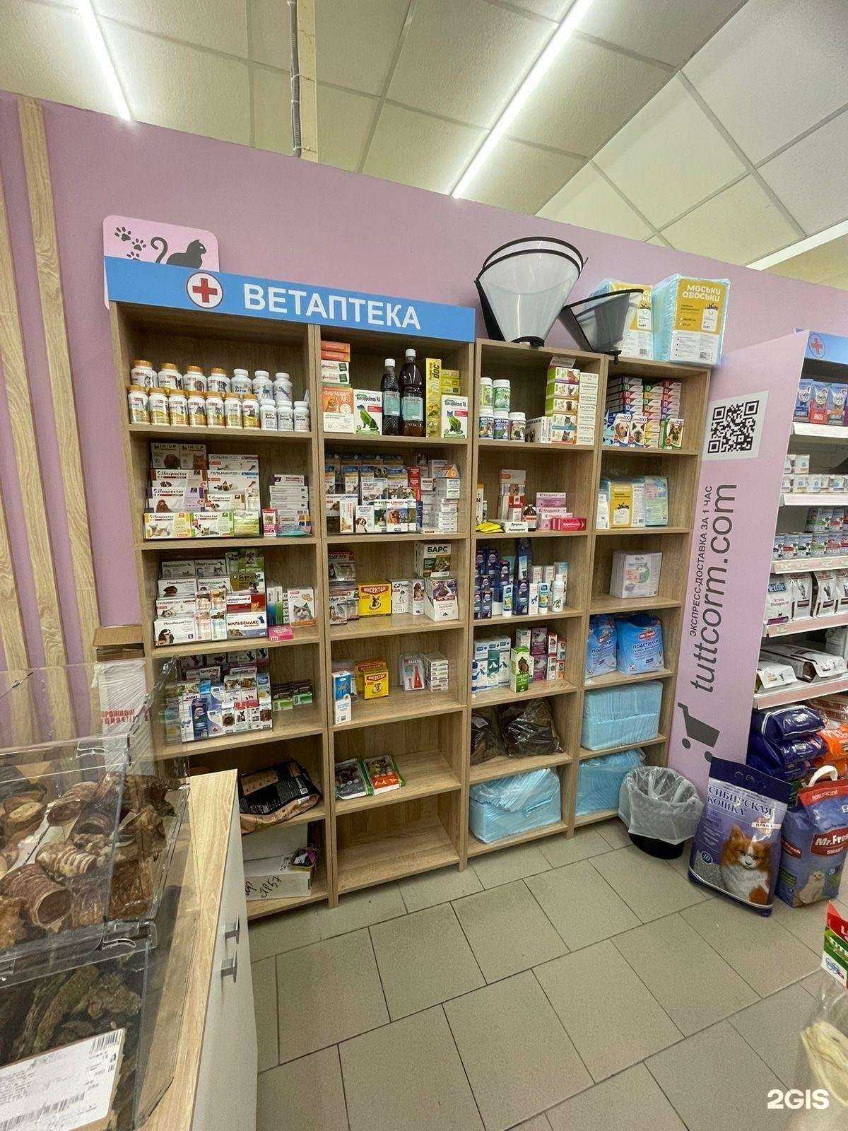 Отзывы на компанию Котопес в г. Кемерово c фото