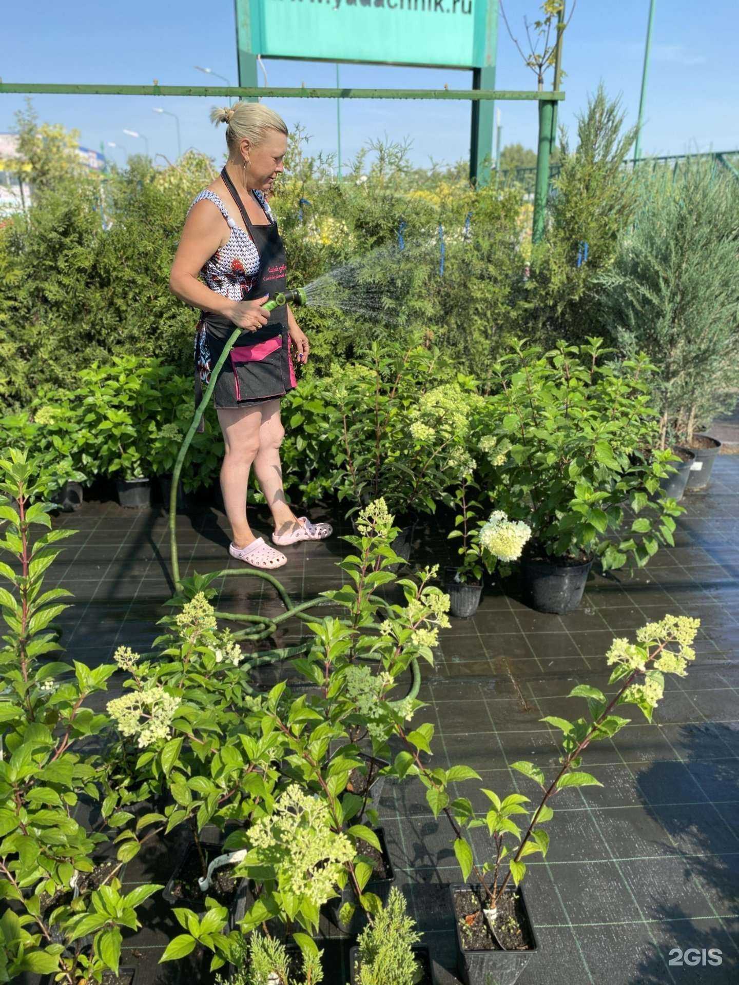 Отзывы на компанию Садовый Дворик в Уфе c фото