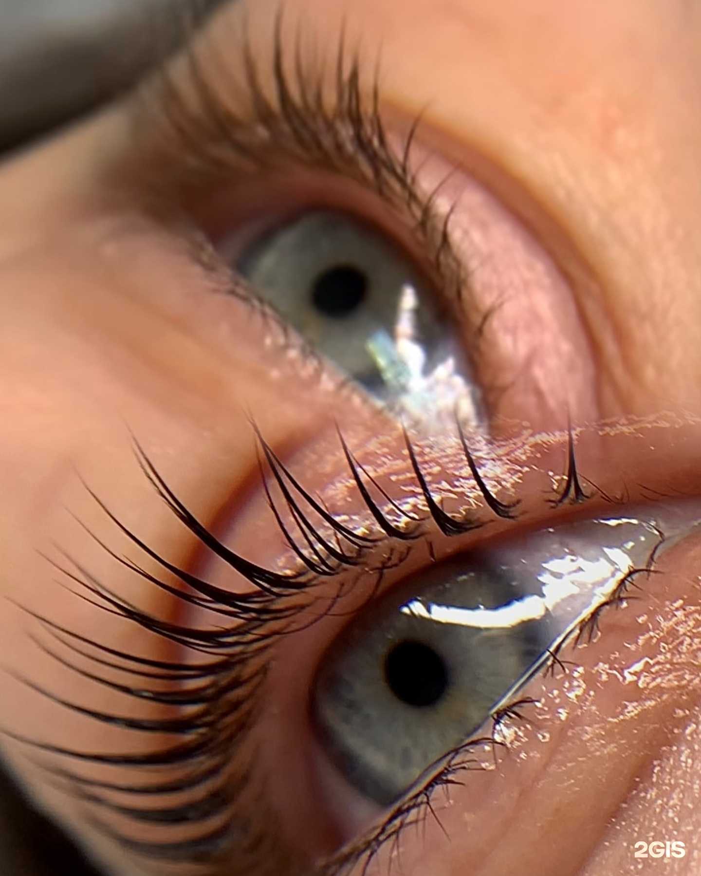 Отзывы на компанию Бюро интеллигентных бровей и ресниц в г. Кострома c фото