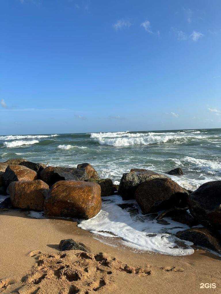 Отзывы на компанию Kings Travel Group в Сургуте c фото