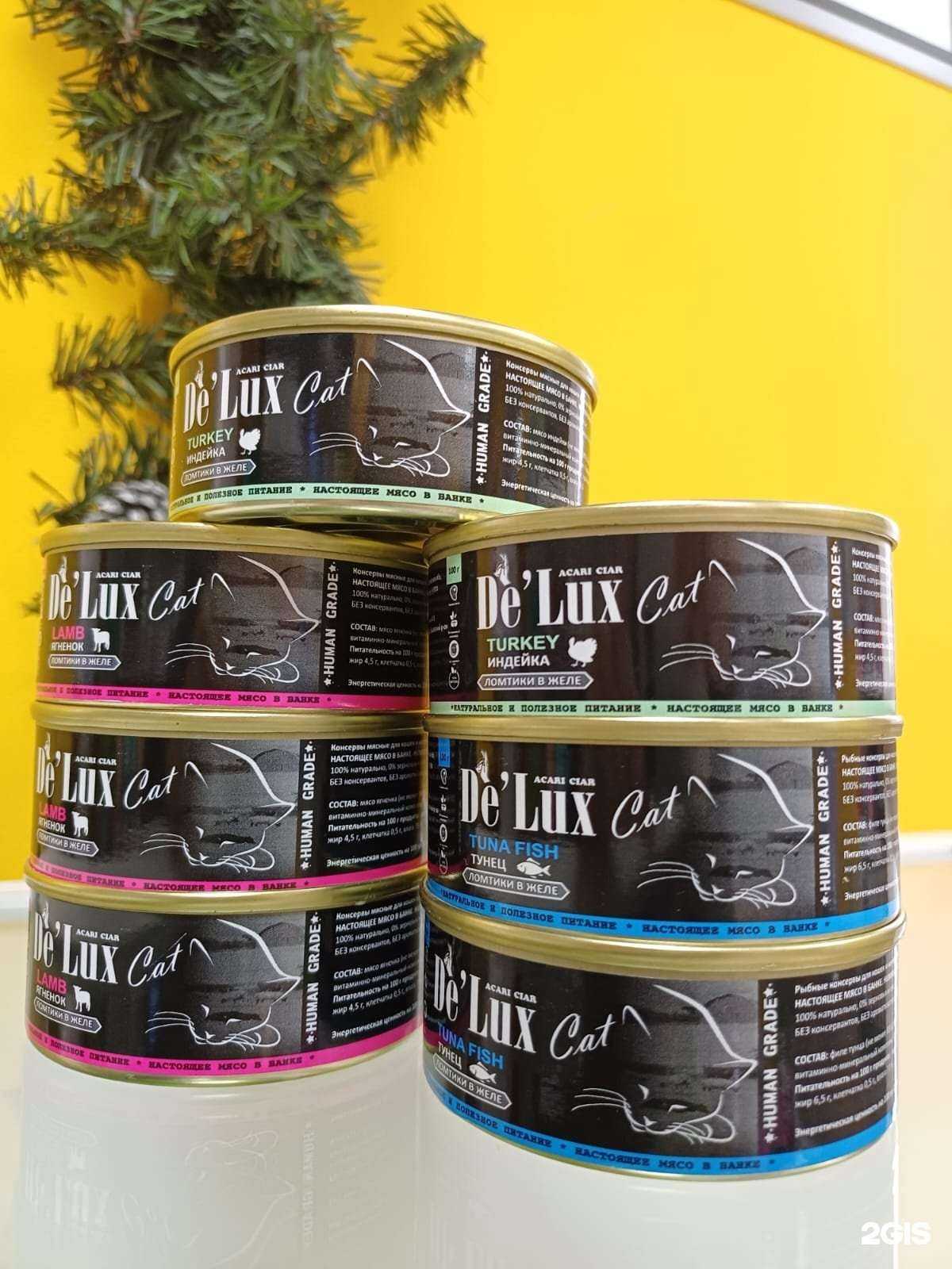 Отзывы на компанию Pet & Cat в г. Киров c фото