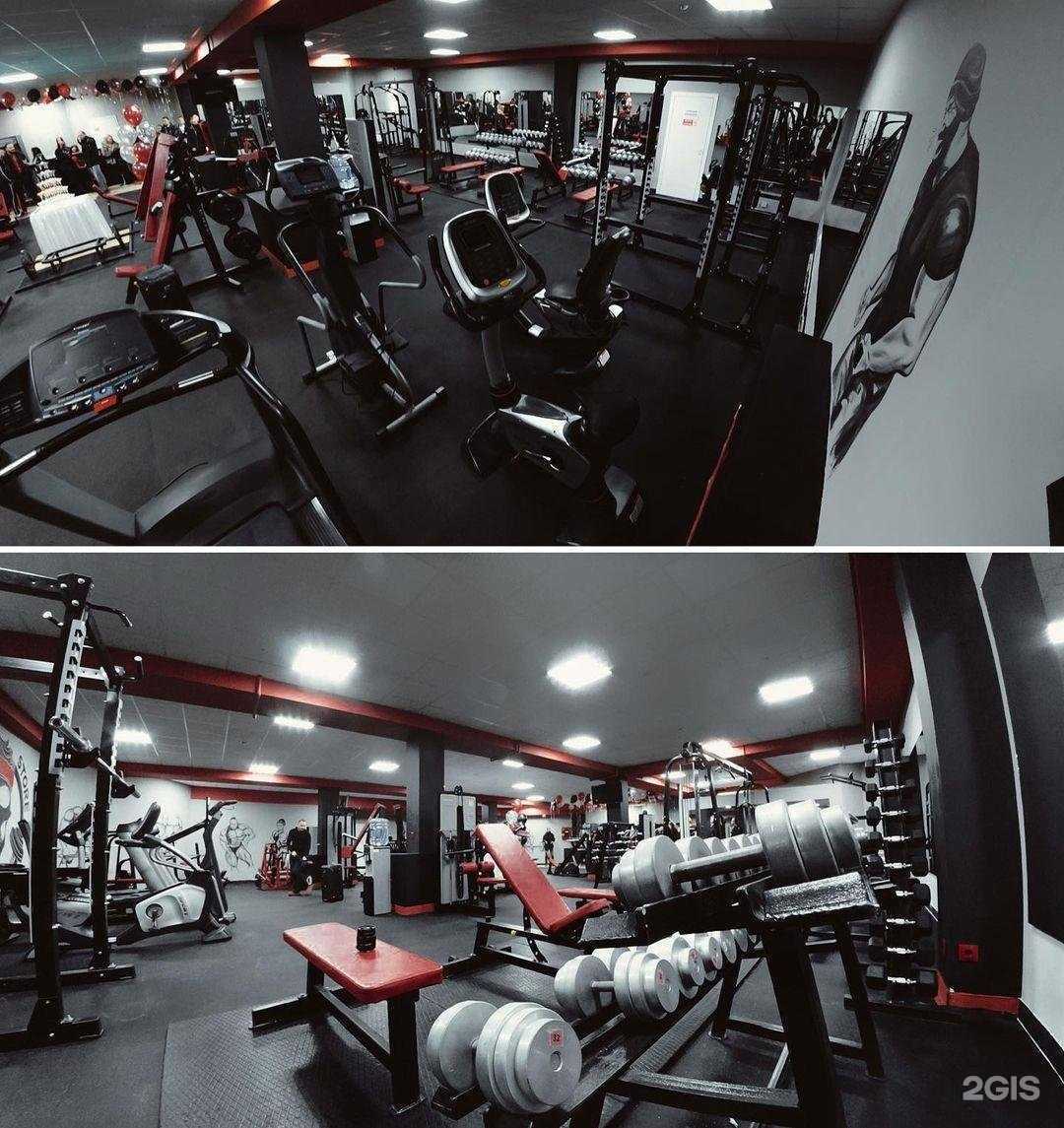 Отзывы на компанию Muscle store в Мурманске c фото