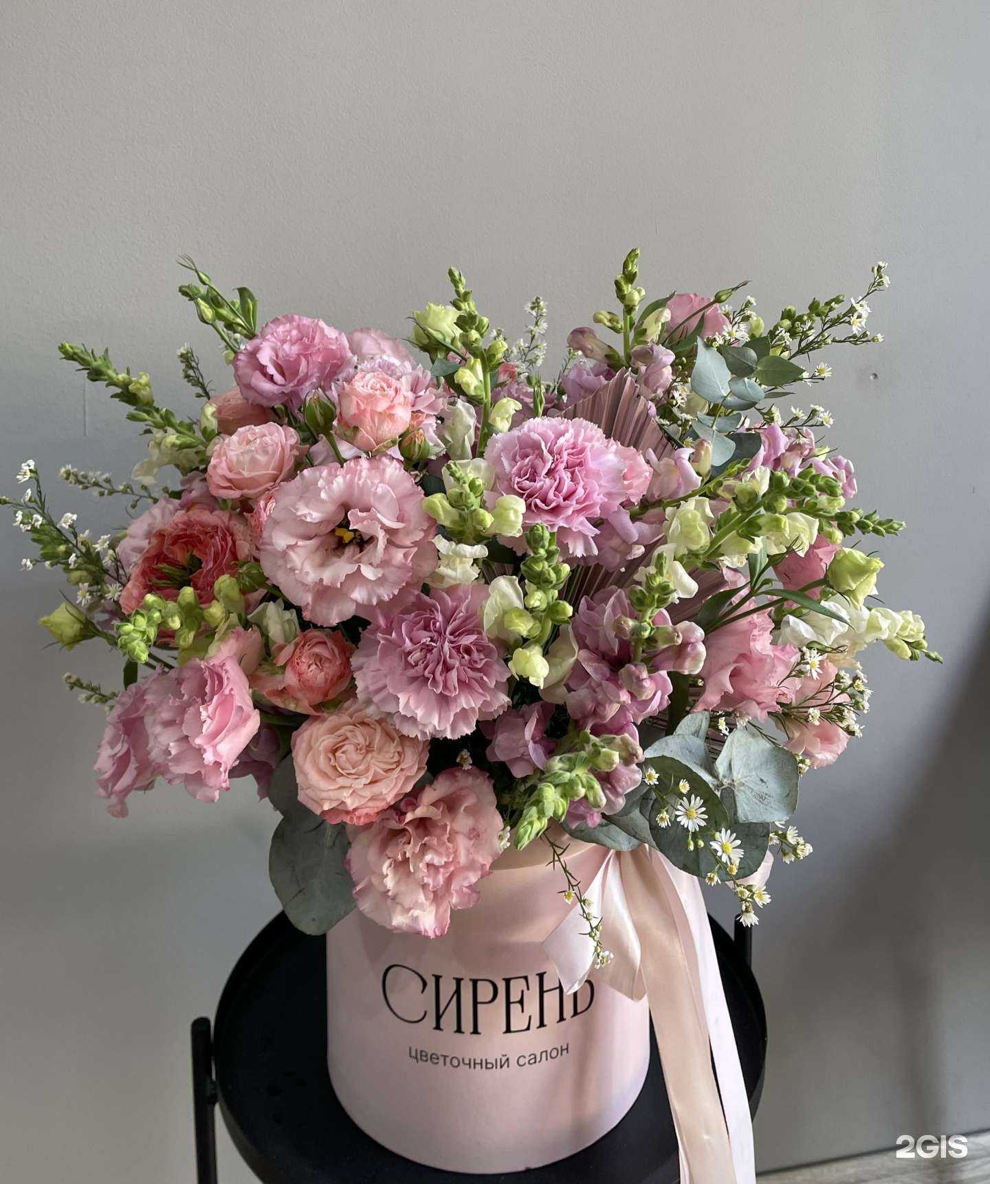 Отзывы на компанию Сирень в г. Краснодар c фото