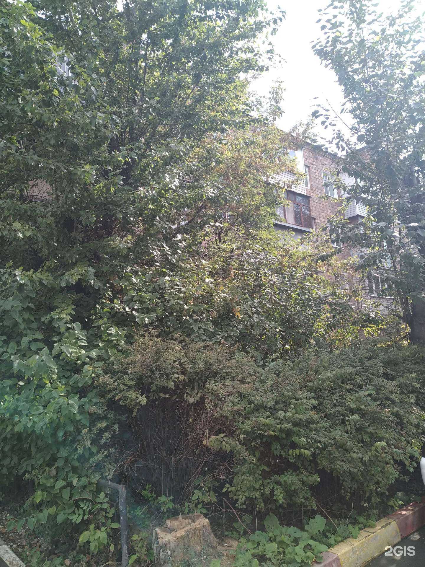 Отзывы на компанию Спас в Электроугли c фото