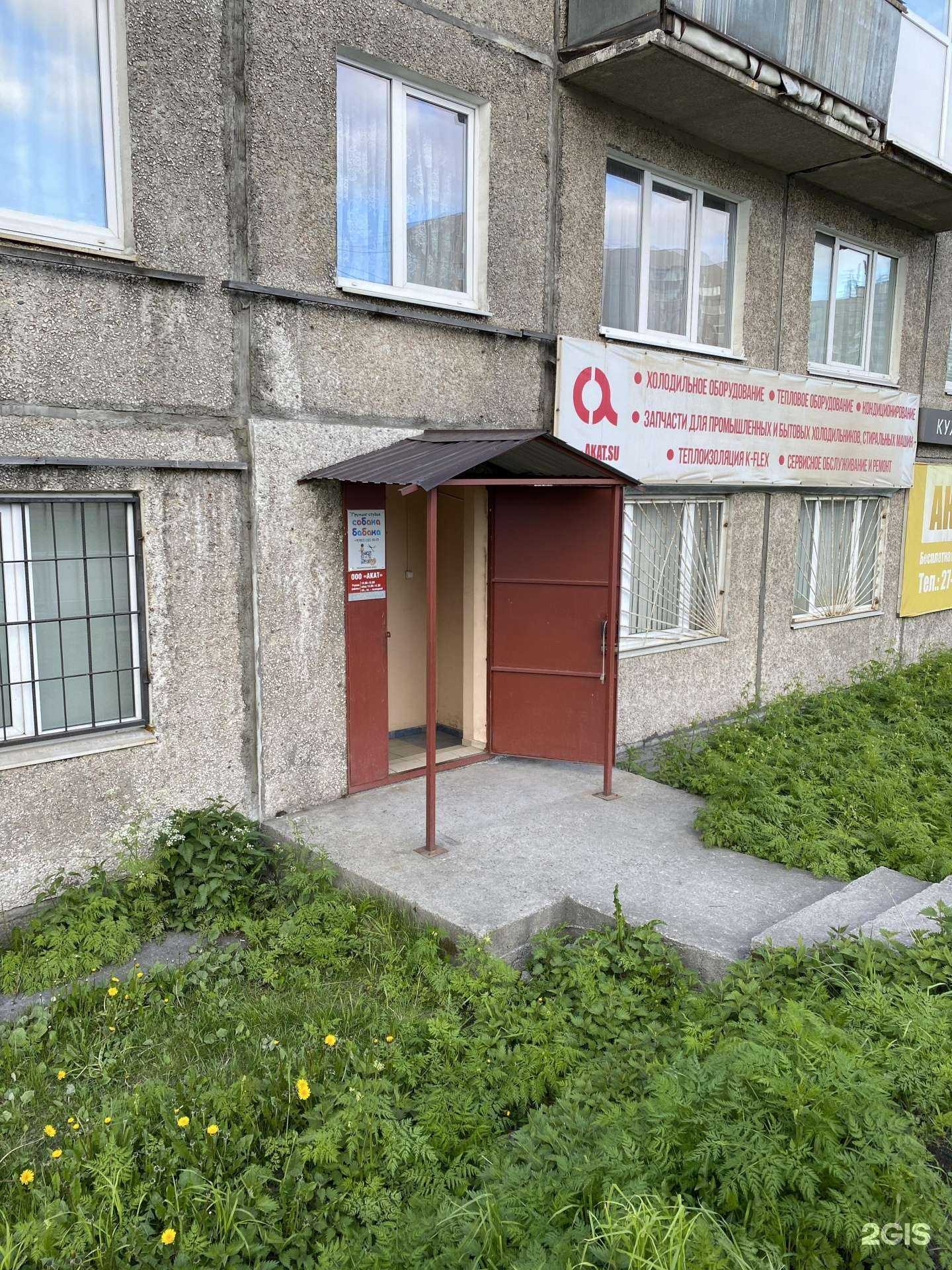 Отзывы на компанию Собака бабака в Мурманске c фото