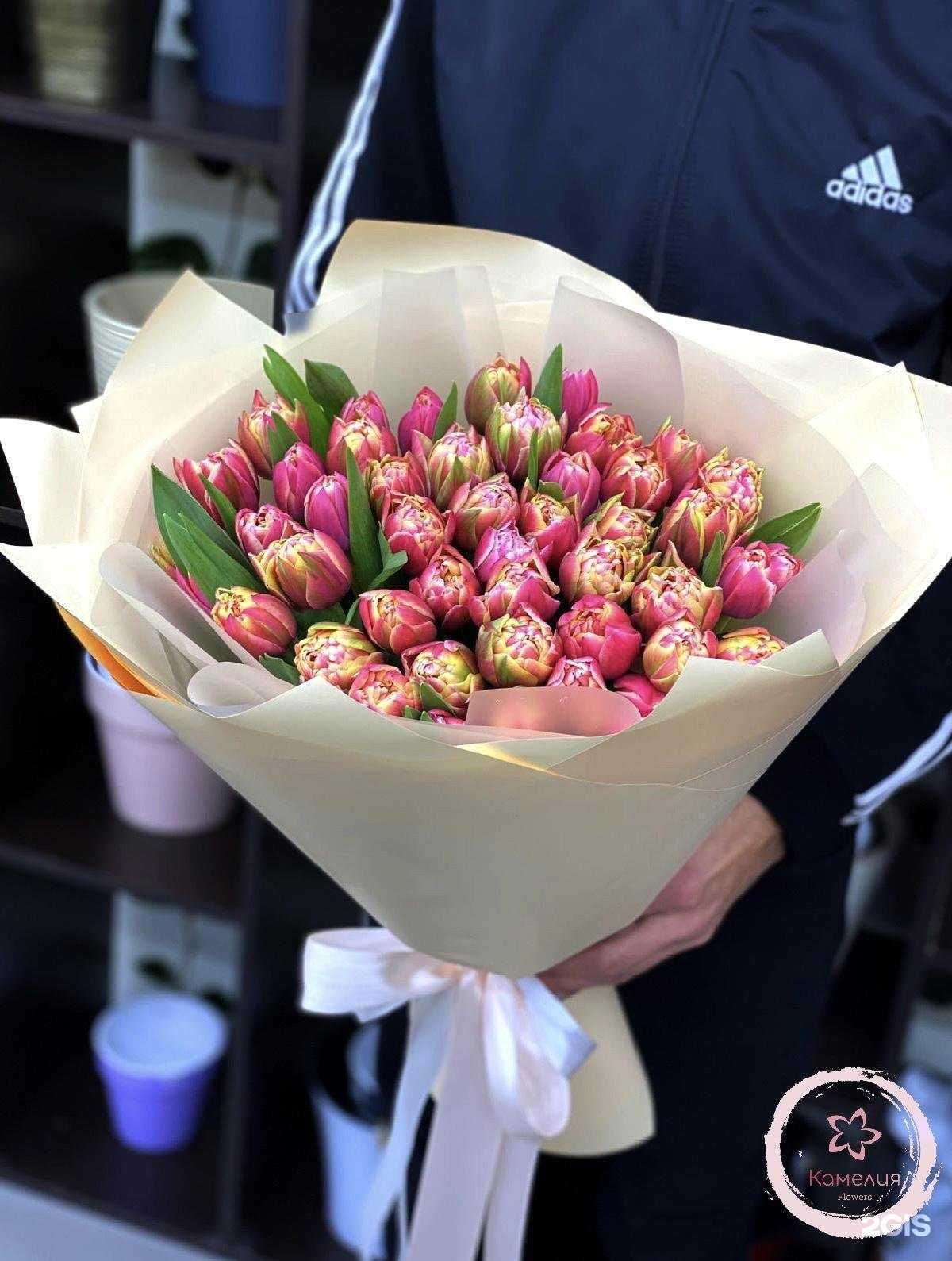 Отзывы на компанию Камелия в Челябинске c фото