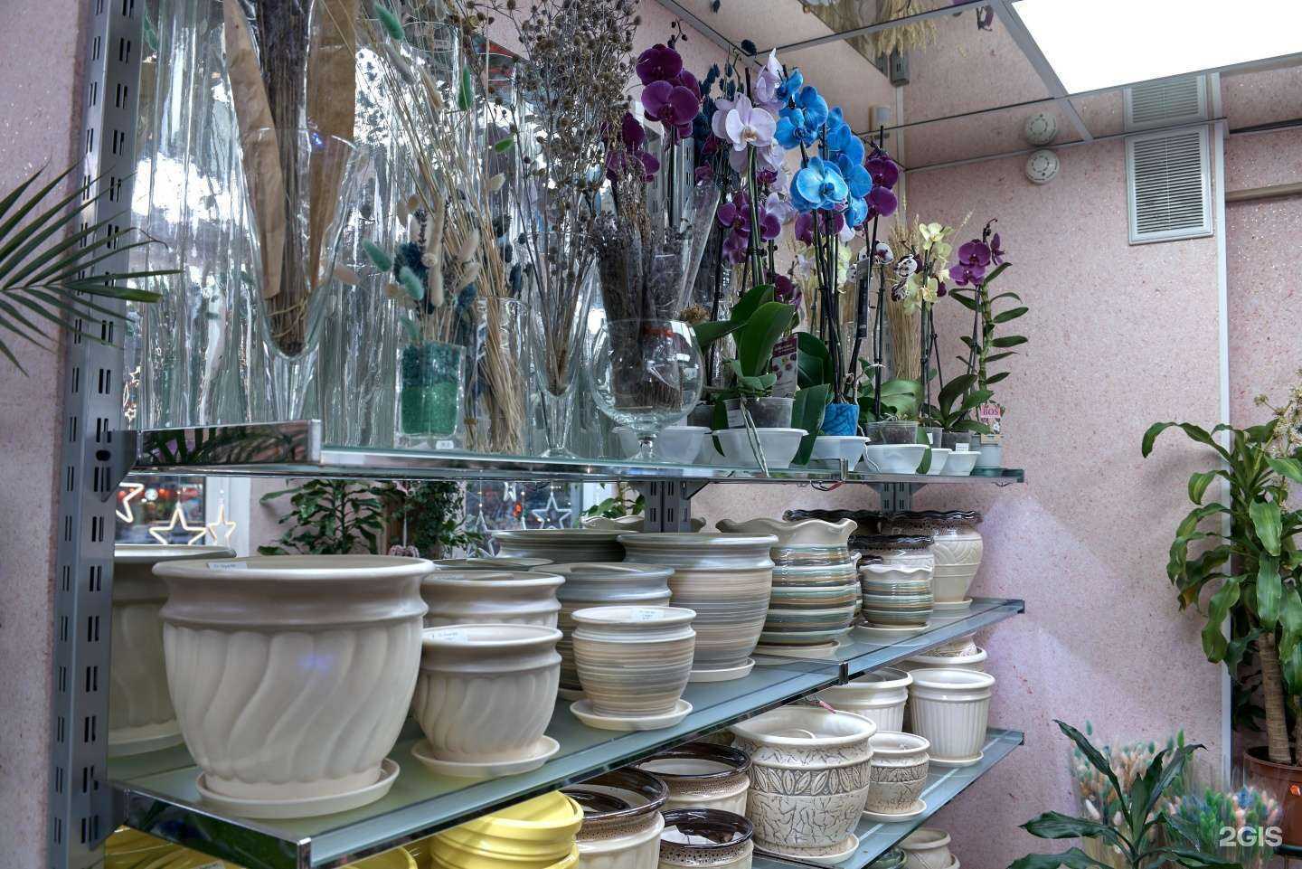 Отзывы на компанию Городские цветы в г. Мурманск c фото